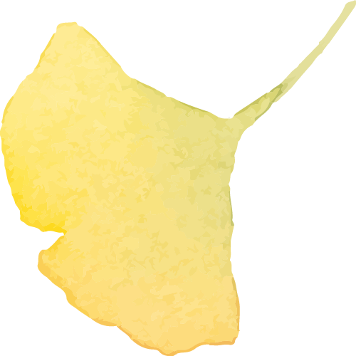xXYUc, 所有选手都