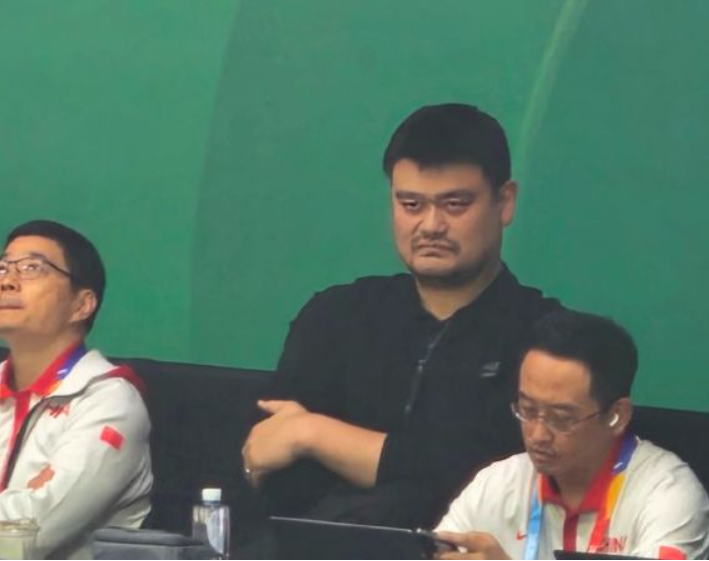 sVW, 引入国际先