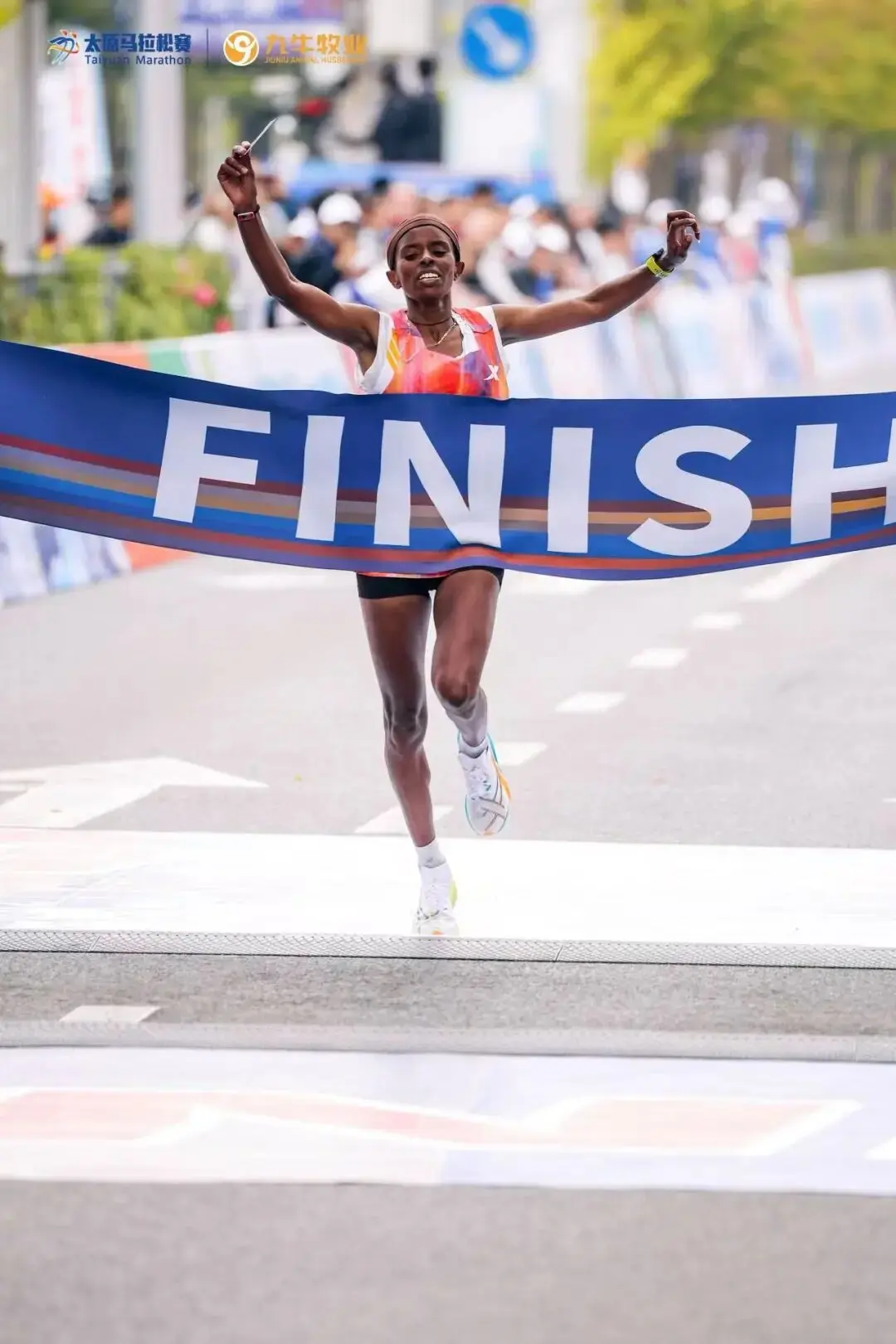 冠军已诞生, amp, AA