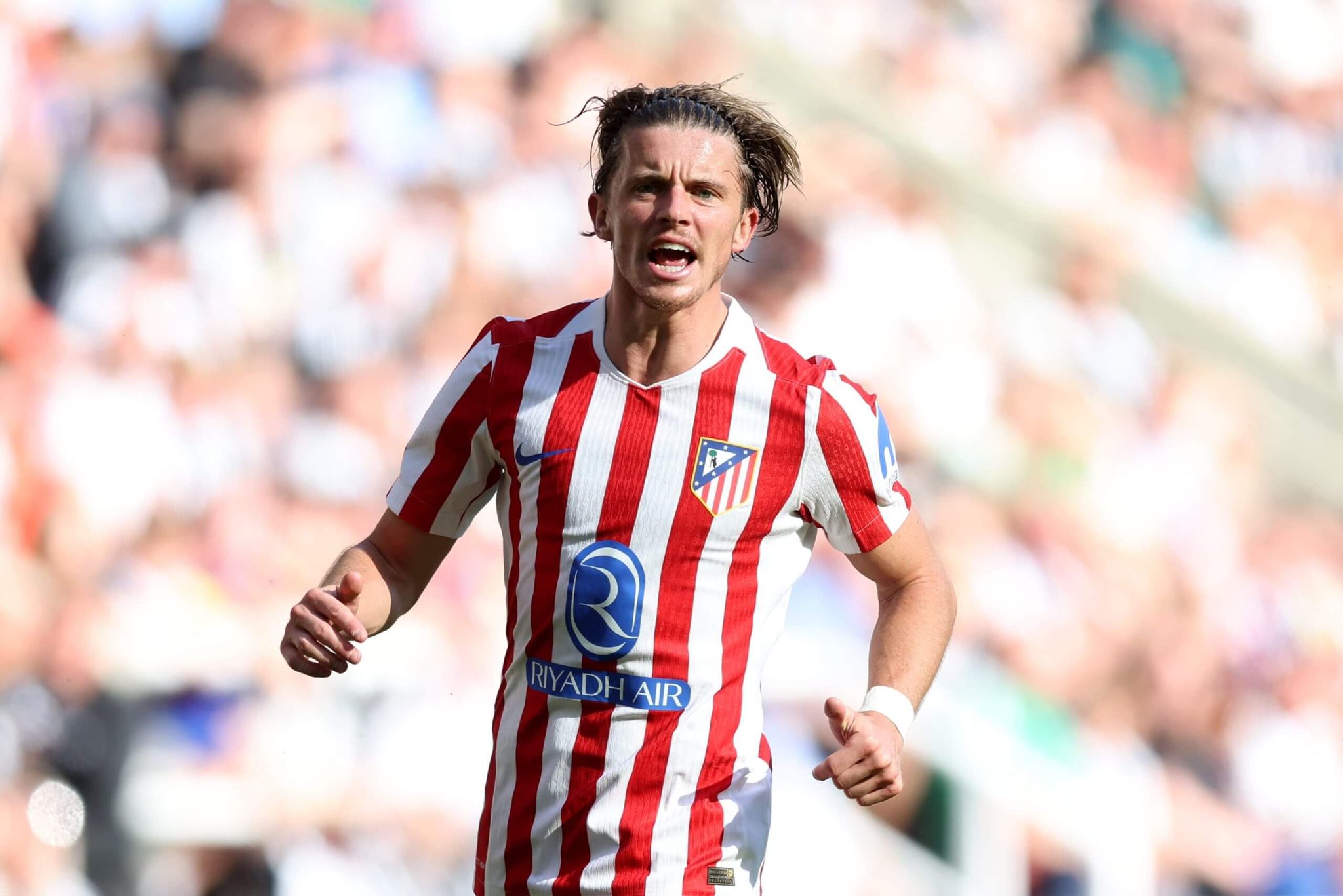 也可能是明, 加拉格尔可 也可能是明, 加拉格尔可